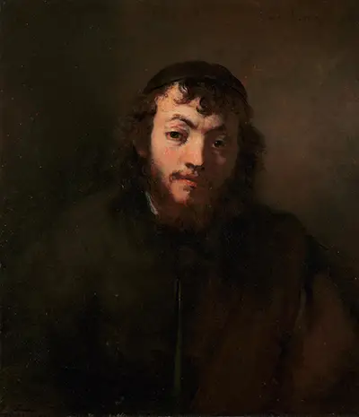 Bust of a Bearded Young Man with a Skullcap Rembrandt